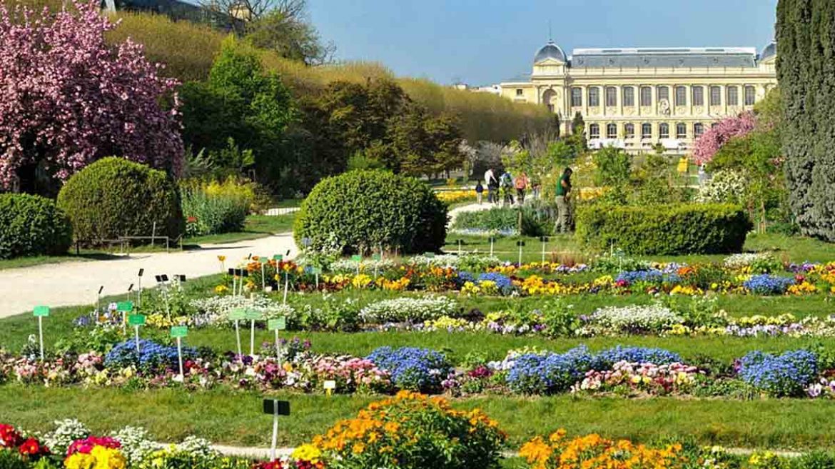 Jardin-des-Plantes